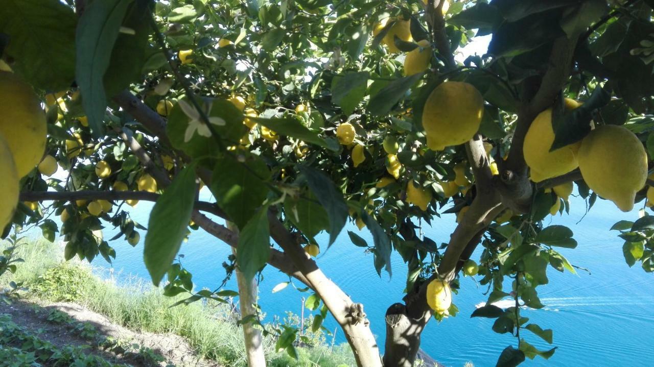 The Guardian Of Amalfi Villa Exterior foto