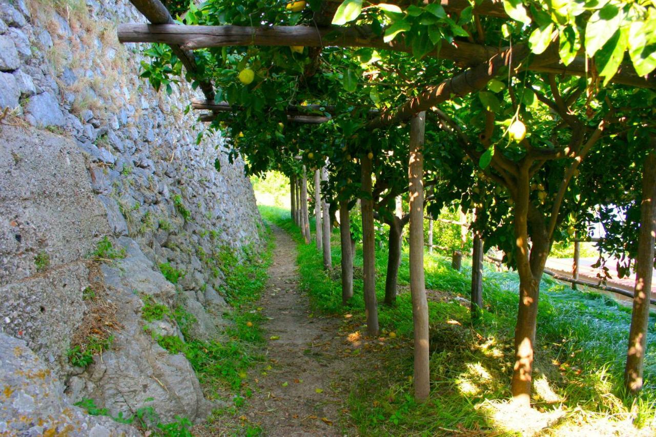 The Guardian Of Amalfi Villa Exterior foto
